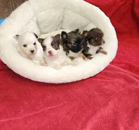 processed/54c22149-5366-4559-965c-e679f7cb4315/facility/99dbd251-1e16-4892-8d5d-9eef36e63cd7