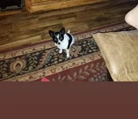 processed/54c22149-5366-4559-965c-e679f7cb4315/facility/b493d550-d8a2-47aa-9864-b9947299a4be