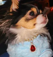 processed/54c22149-5366-4559-965c-e679f7cb4315/facility/ce55b8d6-223f-466a-b367-a41d9c13a111