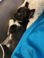 processed/54c22149-5366-4559-965c-e679f7cb4315/facility/fd977f7b-f344-46e4-b036-7abd665384e7