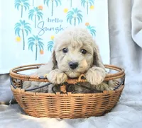 processed/54ccf682-6fa8-4c91-a0a1-36208c8338cc/listing/0593e1a2-c932-488d-a7eb-1e39a02bb781/6d755379-7eef-406f-adac-04e428c8a8fe