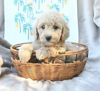 processed/54ccf682-6fa8-4c91-a0a1-36208c8338cc/listing/0593e1a2-c932-488d-a7eb-1e39a02bb781/d25d5602-6009-4dc6-a6b2-b8a5c58a24c7