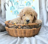 processed/54ccf682-6fa8-4c91-a0a1-36208c8338cc/listing/d01d0800-2157-470e-b111-a9e6bac0ec32/39e1540b-4a6e-41b0-9b90-26f24eed0245