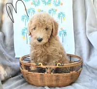 processed/54ccf682-6fa8-4c91-a0a1-36208c8338cc/listing/d01d0800-2157-470e-b111-a9e6bac0ec32/a1062712-3c7a-4e8d-9d4a-8b9531ba6662