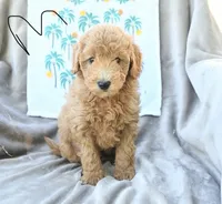 processed/54ccf682-6fa8-4c91-a0a1-36208c8338cc/listing/d01d0800-2157-470e-b111-a9e6bac0ec32/f5cc2c4a-e896-4663-aa8e-206bd3be2a92