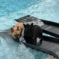 processed/54d40e28-e419-4a1d-b31e-13220e662e95/facility/1272dc7f-8ce8-4ff8-aee2-fc13a2e024ed