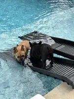 processed/54d40e28-e419-4a1d-b31e-13220e662e95/facility/1272dc7f-8ce8-4ff8-aee2-fc13a2e024ed