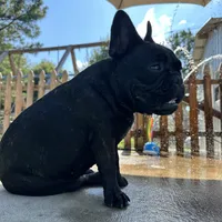 processed/54d40e28-e419-4a1d-b31e-13220e662e95/facility/5bcb70b1-3c51-4c58-9e8f-8100be96997c