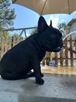 processed/54d40e28-e419-4a1d-b31e-13220e662e95/facility/5bcb70b1-3c51-4c58-9e8f-8100be96997c