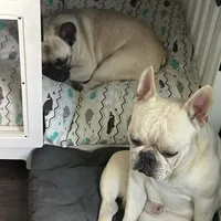 processed/54d40e28-e419-4a1d-b31e-13220e662e95/facility/67cf7ff0-f872-438b-8a4d-47b699245d99