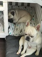 processed/54d40e28-e419-4a1d-b31e-13220e662e95/facility/67cf7ff0-f872-438b-8a4d-47b699245d99