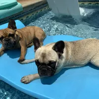 processed/54d40e28-e419-4a1d-b31e-13220e662e95/facility/8f667e00-34ff-49cc-aece-c37fab3275e5