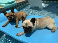 processed/54d40e28-e419-4a1d-b31e-13220e662e95/facility/8f667e00-34ff-49cc-aece-c37fab3275e5