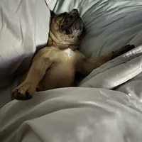 processed/54d40e28-e419-4a1d-b31e-13220e662e95/facility/aebf0402-3827-4fe0-8b49-d9b8fd704576