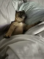 processed/54d40e28-e419-4a1d-b31e-13220e662e95/facility/aebf0402-3827-4fe0-8b49-d9b8fd704576