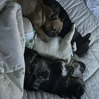 processed/54d40e28-e419-4a1d-b31e-13220e662e95/facility/af8886f4-e985-4e7d-a7d4-12fd7be6a1c2