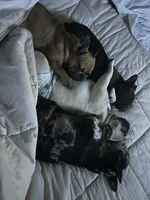 processed/54d40e28-e419-4a1d-b31e-13220e662e95/facility/af8886f4-e985-4e7d-a7d4-12fd7be6a1c2