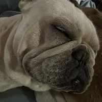 processed/54d40e28-e419-4a1d-b31e-13220e662e95/facility/d0b2c162-32d9-49dd-81ac-66085d7e8790