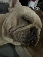 processed/54d40e28-e419-4a1d-b31e-13220e662e95/facility/d0b2c162-32d9-49dd-81ac-66085d7e8790