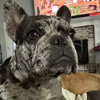 processed/54d40e28-e419-4a1d-b31e-13220e662e95/facility/d5022f60-17c4-4479-bee1-0fae2856c0b7