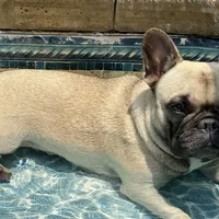 processed/54d40e28-e419-4a1d-b31e-13220e662e95/facility/f7df1aa1-f539-4959-8039-f67e1b714dcc