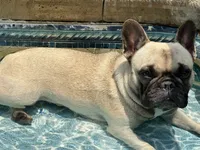 processed/54d40e28-e419-4a1d-b31e-13220e662e95/facility/f7df1aa1-f539-4959-8039-f67e1b714dcc