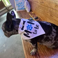 processed/54d40e28-e419-4a1d-b31e-13220e662e95/facility/fa2bcee3-57e3-43cb-a9c3-e2ff1e602bab