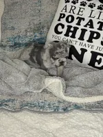 Blue merle - pending, a female French Bulldog for sale in Opp, AL – Photo 7 of 10