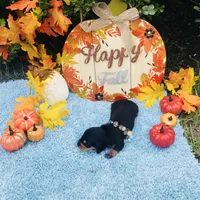 processed/54d4381d-3829-451c-b29c-dee2df1edbb0/facility/07b7b6f6-e389-49ca-b9c2-2d6c70fb89dd