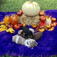 processed/54d4381d-3829-451c-b29c-dee2df1edbb0/facility/08f4a720-9145-4766-96bb-b88571db60eb