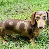 processed/54d4381d-3829-451c-b29c-dee2df1edbb0/facility/1b277674-7b30-45f6-8100-8bf5f9583660