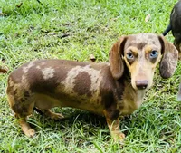 processed/54d4381d-3829-451c-b29c-dee2df1edbb0/facility/1b277674-7b30-45f6-8100-8bf5f9583660