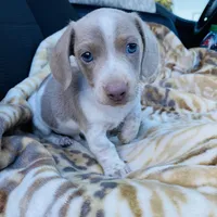 processed/54d4381d-3829-451c-b29c-dee2df1edbb0/facility/4505a33d-dfcf-47c1-88a6-ad5803de9526