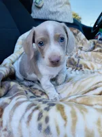 processed/54d4381d-3829-451c-b29c-dee2df1edbb0/facility/4505a33d-dfcf-47c1-88a6-ad5803de9526