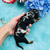 processed/54d4381d-3829-451c-b29c-dee2df1edbb0/facility/6e7099c5-856a-4d2f-b635-7f7d8dc84e5c