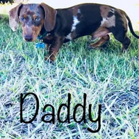 processed/54d4381d-3829-451c-b29c-dee2df1edbb0/facility/7dddf70f-b840-48a4-814a-0d6f33f511d8