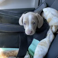 processed/54d4381d-3829-451c-b29c-dee2df1edbb0/facility/8b565e1c-5783-45fb-84a6-cfaf1e66ea43