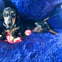 processed/54d4381d-3829-451c-b29c-dee2df1edbb0/facility/b3ad683a-8913-4c66-870e-33f019bac746