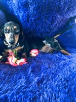 processed/54d4381d-3829-451c-b29c-dee2df1edbb0/facility/b3ad683a-8913-4c66-870e-33f019bac746