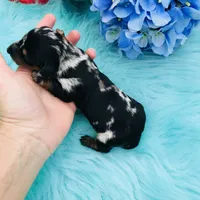 processed/54d4381d-3829-451c-b29c-dee2df1edbb0/facility/ecdf255f-fc79-402d-9907-91d31d24b2ad