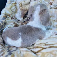 processed/54d4381d-3829-451c-b29c-dee2df1edbb0/facility/f3ac0948-0bba-4f2c-84e2-c5c232dc04ed