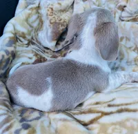 processed/54d4381d-3829-451c-b29c-dee2df1edbb0/facility/f3ac0948-0bba-4f2c-84e2-c5c232dc04ed