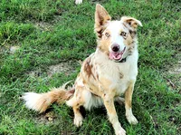 processed/54e4a0bc-cb3d-439b-b22f-e6f65e50bb0d/listing/eb86d31d-f63c-448e-97a4-6dbaec0d7945/22d777d5-097b-4358-816d-690158e19d17