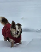 processed/54e4a0bc-cb3d-439b-b22f-e6f65e50bb0d/listing/eb86d31d-f63c-448e-97a4-6dbaec0d7945/4067fb63-cafc-4d9c-bf26-590dd628ac28