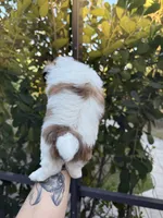 processed/54e7adc3-c921-4bc6-a6e1-8d081c1ec159/listing/73adf500-2cf5-4971-b815-cd29b0be3cb2/44f32d0a-1da4-478c-aab8-3c6c178918a0