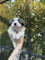 processed/54e7adc3-c921-4bc6-a6e1-8d081c1ec159/listing/d205273b-c0ad-4207-84f1-28dafa423208/4fe2f8b3-5a30-4bb3-a895-c7be6c8e4f3b