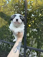 processed/54e7adc3-c921-4bc6-a6e1-8d081c1ec159/listing/d205273b-c0ad-4207-84f1-28dafa423208/8a3461d2-cbff-468f-b976-8f75eecd19e2