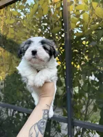 processed/54e7adc3-c921-4bc6-a6e1-8d081c1ec159/listing/d205273b-c0ad-4207-84f1-28dafa423208/a4888ff3-e25a-4fa0-9550-9f3bfd058dcf