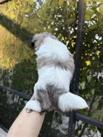 processed/54e7adc3-c921-4bc6-a6e1-8d081c1ec159/listing/d205273b-c0ad-4207-84f1-28dafa423208/ef581659-d9c1-4499-84a8-25676fba4c8d