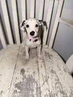 processed/54eb494f-df39-4be2-81d0-518c1325042f/listing/384e7e7f-fee1-4666-a8ad-cf9cbc2bbefe/6ca78c1d-cb71-4344-be1c-6cae5c683637